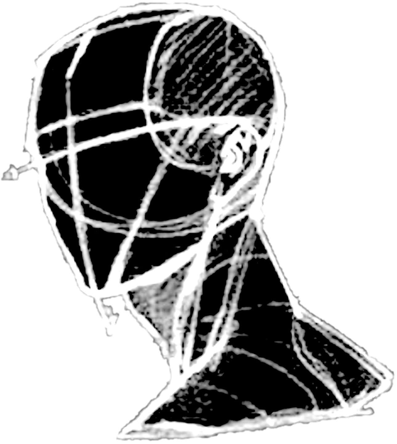 wireframe head illustration